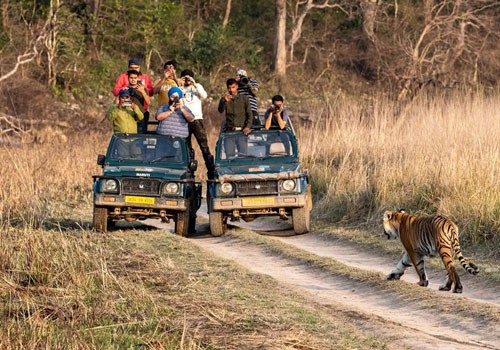 Golden Triangle With Tigers 6 Nights & 7 Days